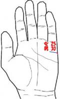 �葊�摜(�֘A�ʐ^)���N�@�|�����N�@-������3