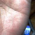 �葊�摜(�֘A�ʐ^)�������|��������-������5