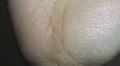 �葊�摜(�֘A�ʐ^)�������|��������-������6