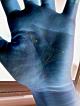 �葊�摜(�֘A����葊�Ӓ�)���N���|�����N��(�Ӓ�No.00030)
