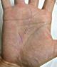 �葊�摜(�֘A����葊�Ӓ�)���N���|�����N��(�Ӓ�No.00118)