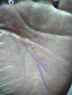 �葊�摜(�֘A����葊�Ӓ�)���z���|�����z�������ΐ��u���琶���Ă���(�Ӓ�No.00125)