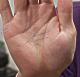 �葊�摜(�֘A����葊�Ӓ�)�m�\���|���m�\��(�Ӓ�No.00173)