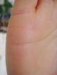 �葊�摜(�֘A����葊�Ӓ�)�p�[�g�i�[���|���p�[�g�i�[��(�Ӓ�No.00215)