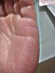 �葊�摜(�֘A����葊�Ӓ�)�m�\���|���m�\��(�Ӓ�No.00238)