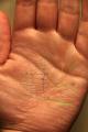 �葊�摜(�֘A����葊�Ӓ�)�m�\���|���m�\��(�Ӓ�No.00244)