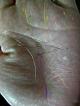 �葊�摜(�֘A����葊�Ӓ�)�p�[�g�i�[���|���p�[�g�i�[��(�Ӓ�No.00271)