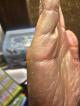 �葊�摜(�֘A����葊�Ӓ�)���z�|�����z��(�Ӓ�No.00399)