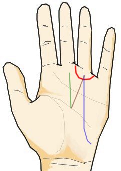 太陽環 手相の見方ここにあり