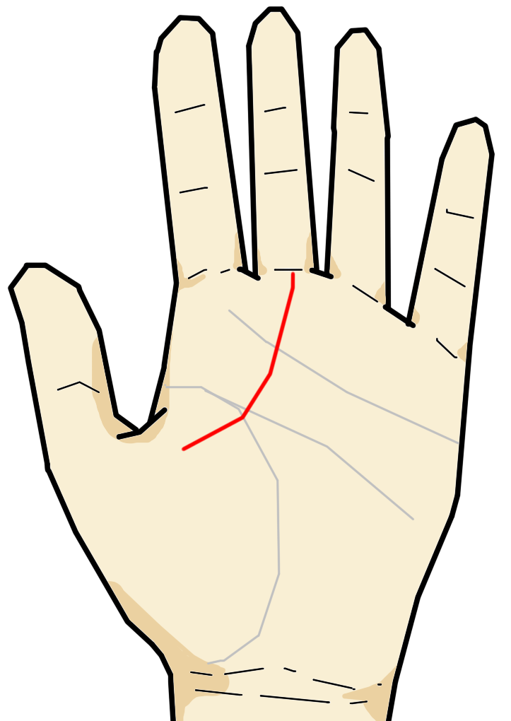 手相からみた中指 手相の見方ここにあり