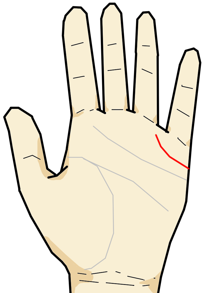 引き立て線 手相の見方ここにあり