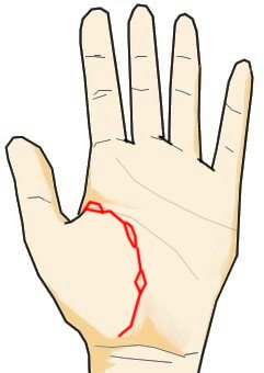 手相に現れる島の意味とは？人生や健康への影響と解釈を徹底解説 | 手相の見方ここにあり！運命を変える実践的な読み方とアドバイス