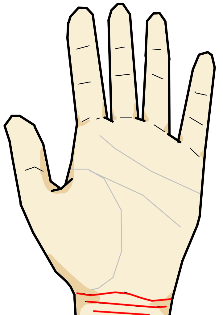 手首線は手首に１～３本程度生じる横向きの線です。生まれ持って生まれた生命力・精力を意味し、明瞭に乱れなく３本刻まれるものが健康体を意味します。