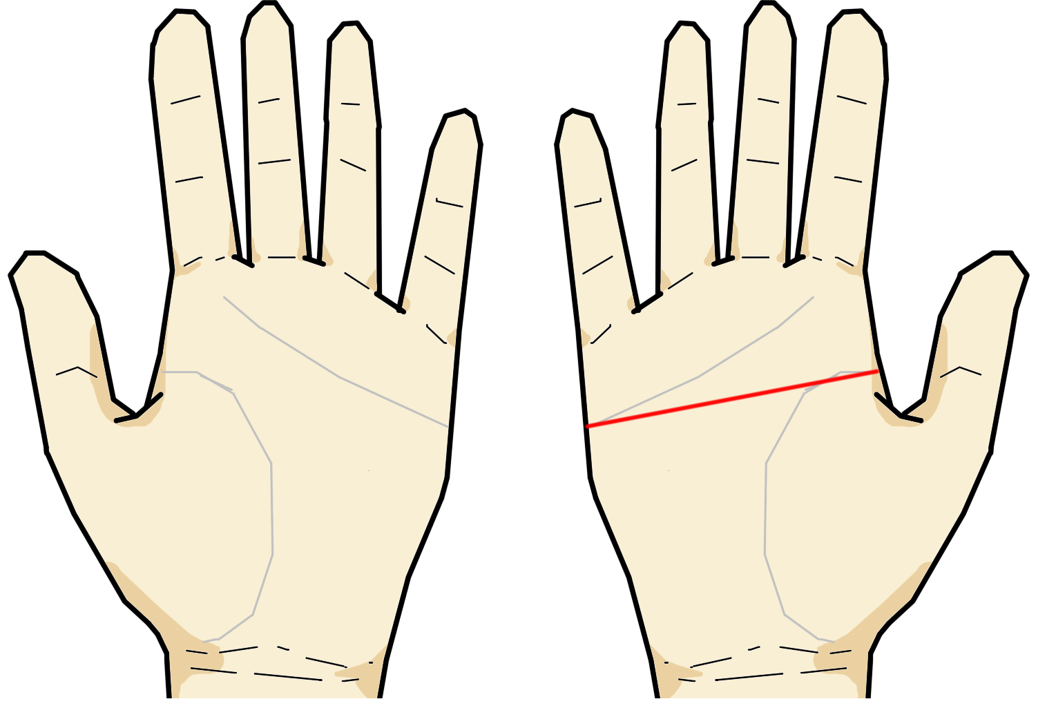 ますかけ線 百握り 手相の見方ここにあり