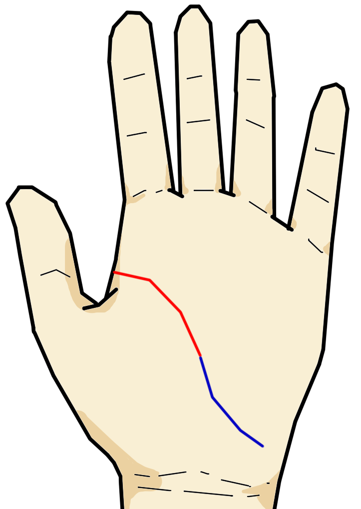 手相家泣かせの相 手相の見方ここにあり