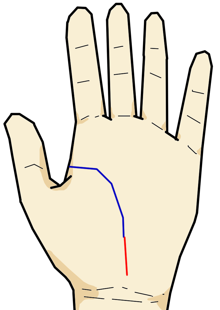 手相家泣かせの相 手相の見方ここにあり