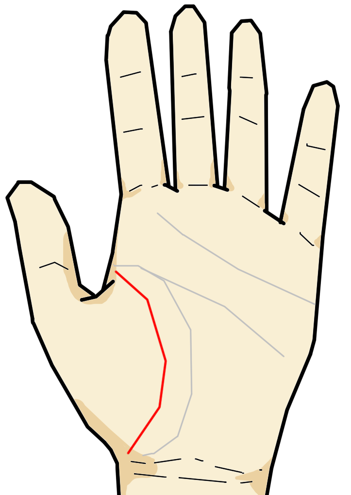 生命線 手相の見方ここにあり