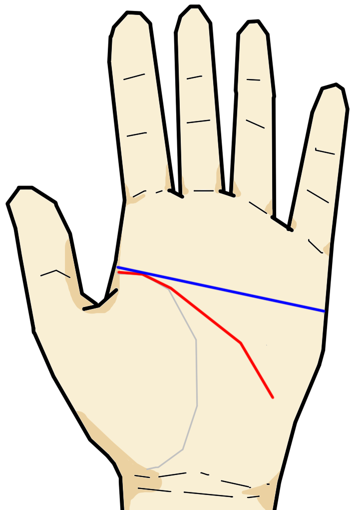 二重知能線 手相の見方ここにあり