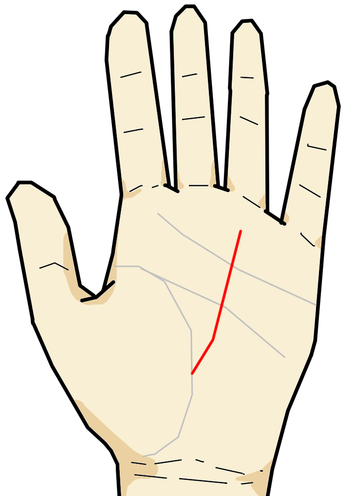 財運線 水星線 が生命線から生じる 手相の見方ここにあり