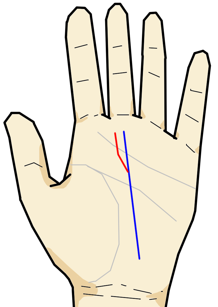 運命線から上向きの支線が出る 開運線 手相の見方ここにあり